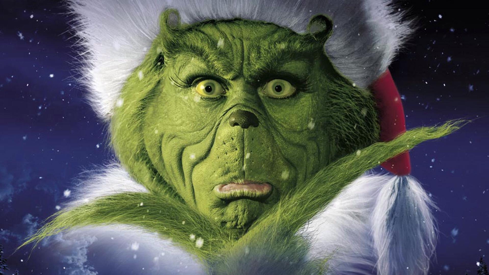 Scopri di più sull'articolo IL GRINCH CHE ODIAVA IL NATALE. Processo di Individuazione